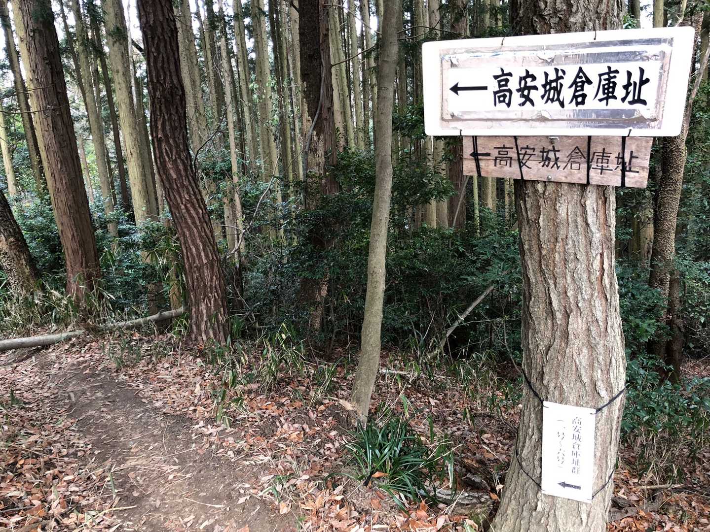 高安山城跡🏯