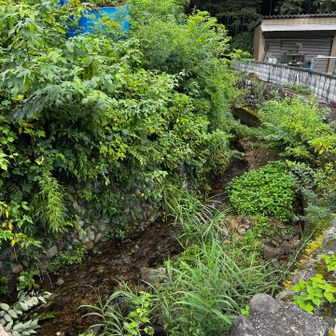 再び境川。