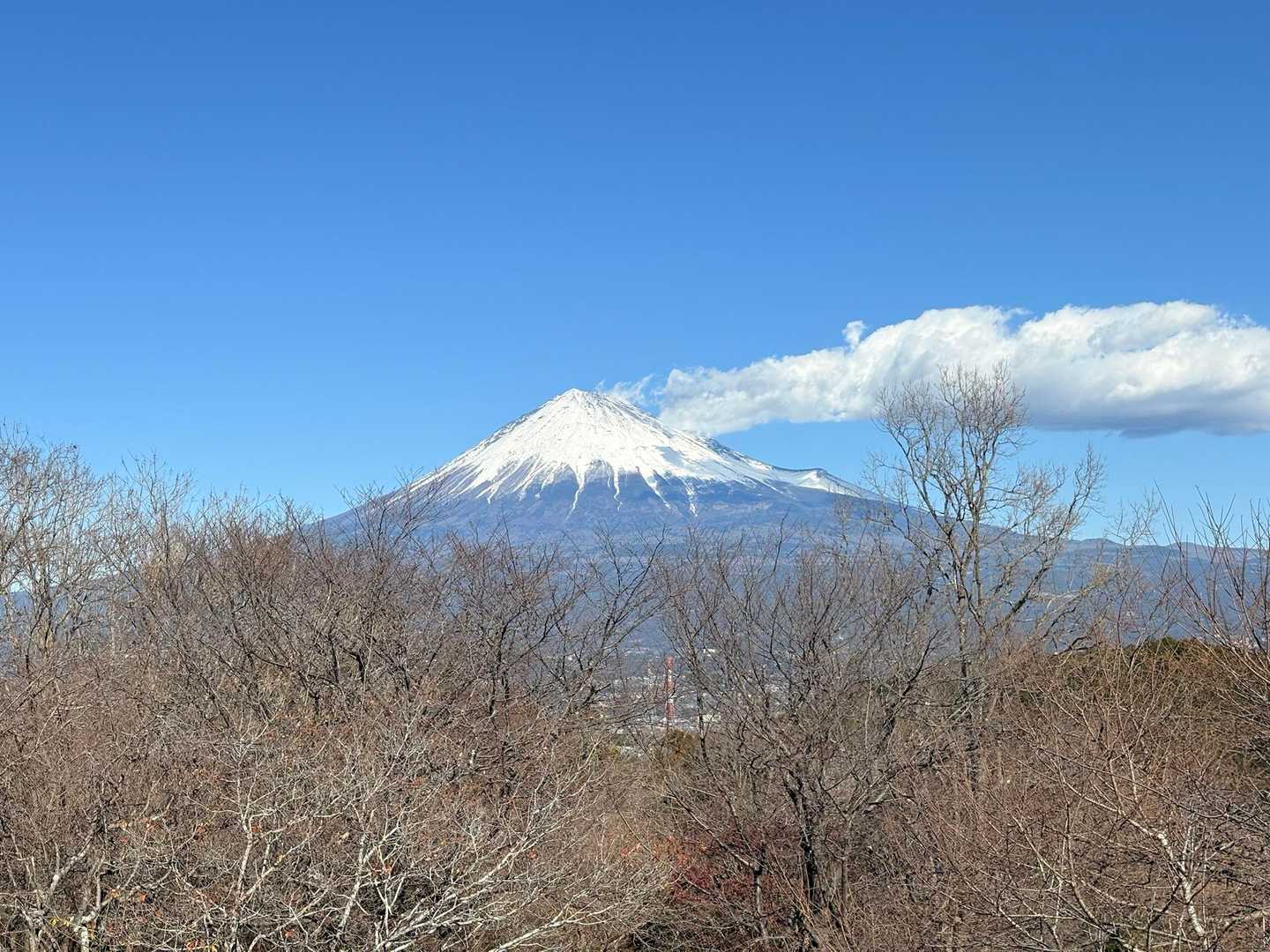 岩本山-岩本山登り口-明星山登山口-明星山 往復コースの写真