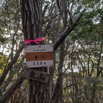 東山山頂到着
東山連峰最高峰