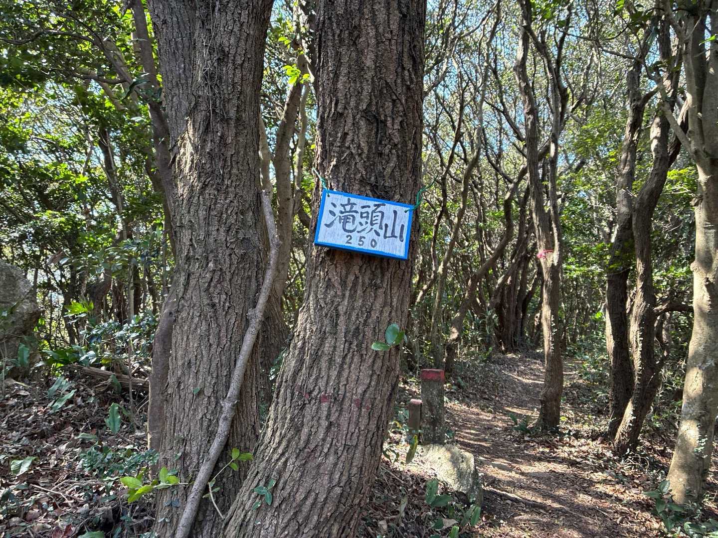 滝頭山山頂