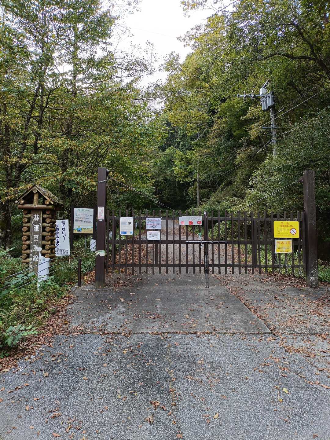 柳沢峠-ハンゼノ頭 周回コースの写真