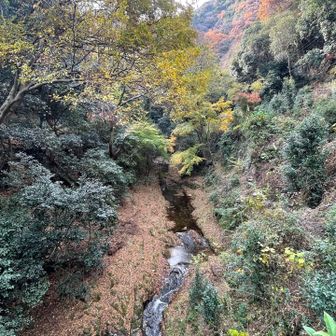 都会のすぐ隣りに美しい山🤩
兵庫県は良いところ✨