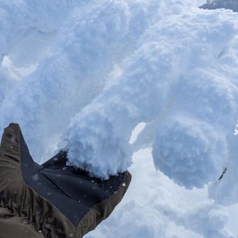 😺の手みたいだ😂