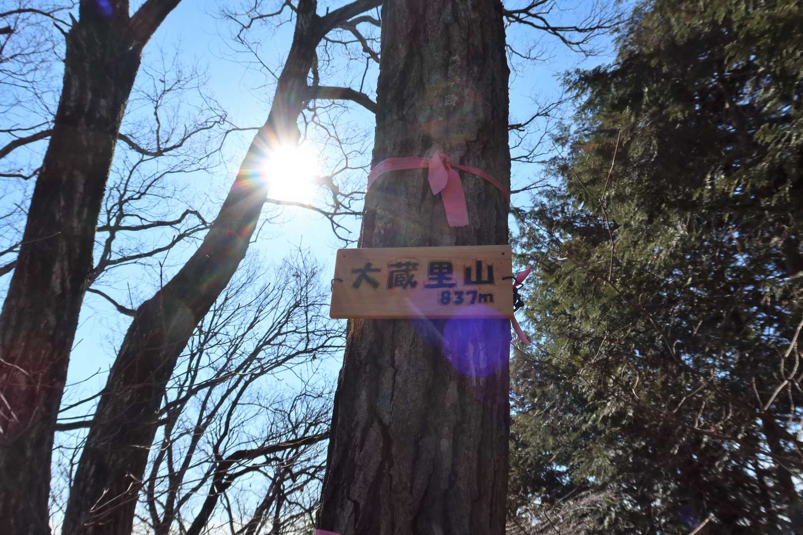 大蔵里山