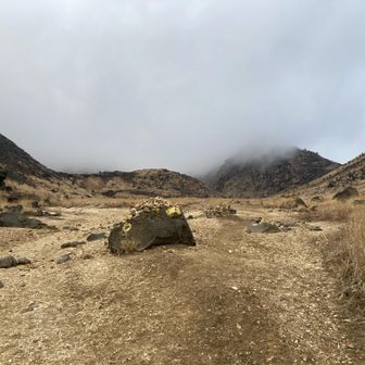 一昨日とは違った雰囲気。