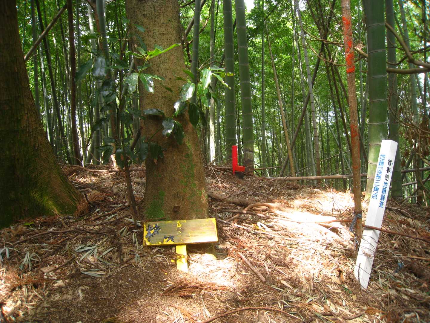 権現山を通過します。
周りは竹林で 眺望はありません。