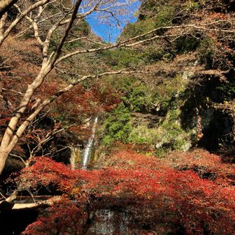 雌滝。ここで朝ごはんいただきました。