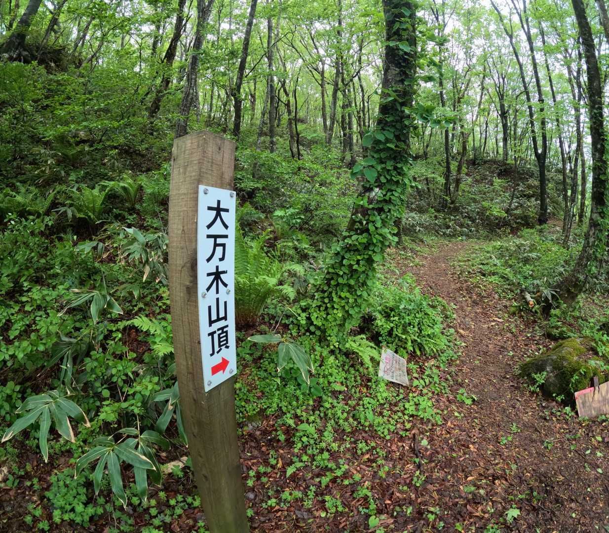 本当は明日来る予定を今日に早めたので、昼前になりました。地蔵尊下駐車場からです。等検境にも行く予定でしたが、時間的に今回は大万木山だけにします。