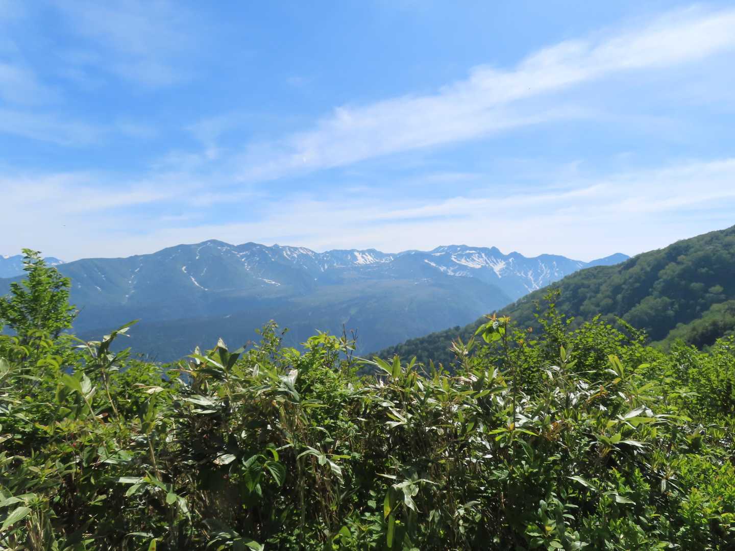 今日は立山くっきり！
