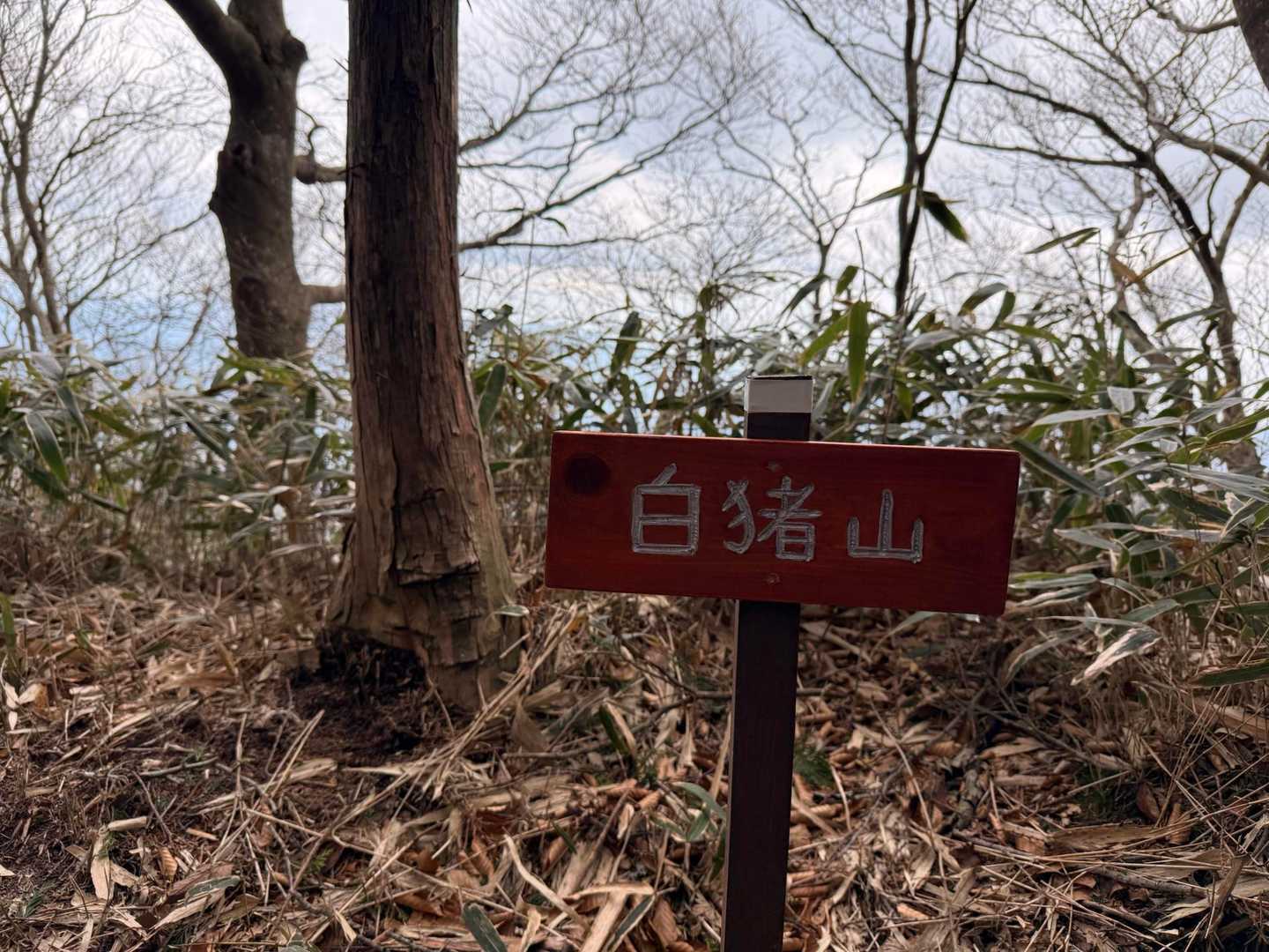 ひとつ目の山到着！
なかなか近づいてこない石墨山！
まだ一山越える？👀わお！