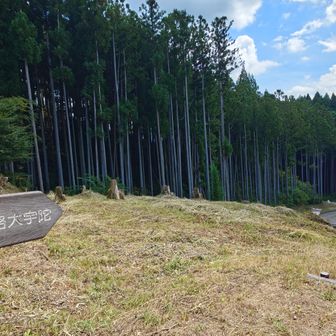 ということで車道歩きで下山します。