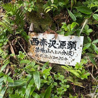 佐武流まであと70分