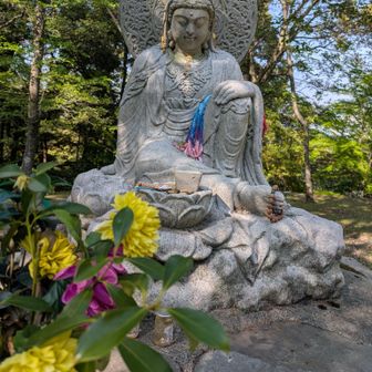 とも、のおにぎり日記🍙