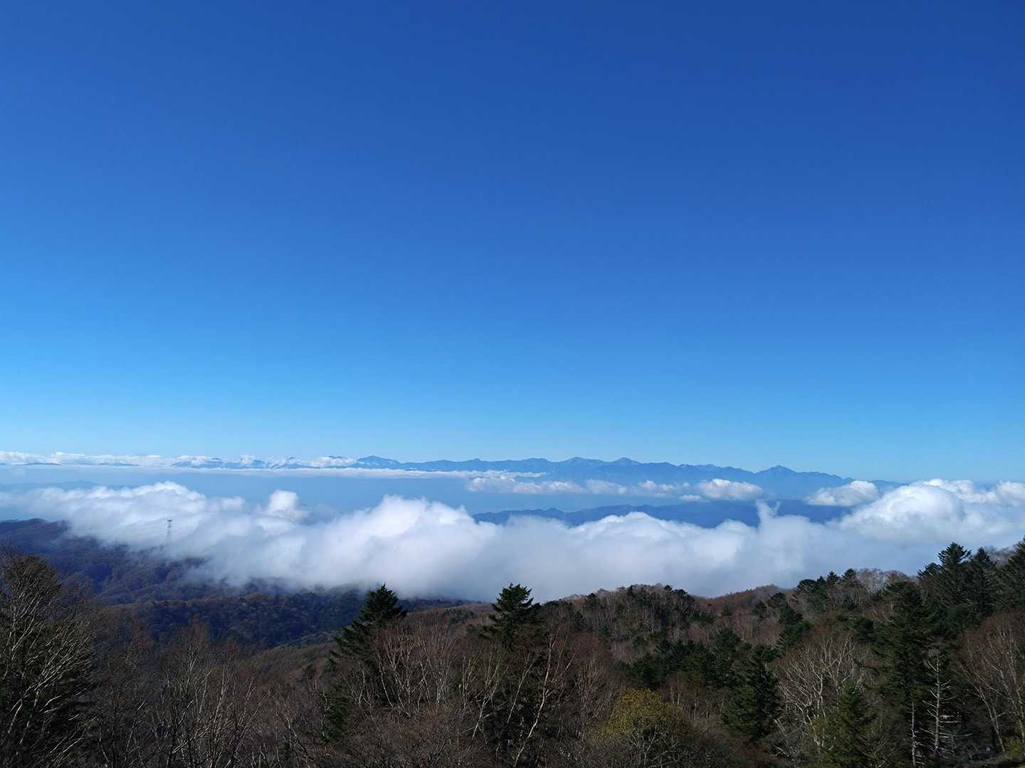 そんな中で見た雲海とアルプス！この景色にびっくり！標高の高いところはやっぱりすごいですね🤩