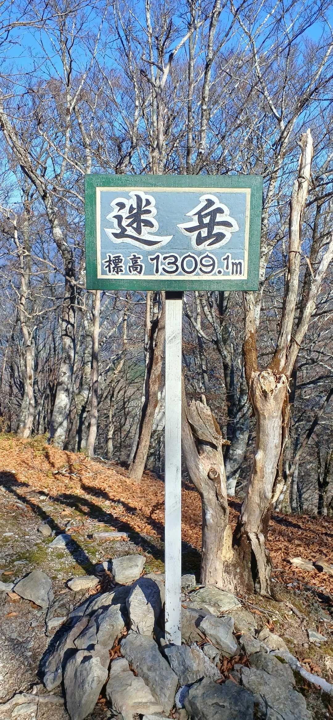 足つった 迷岳・口迷岳 / あさひの登山データ | YAMAP / ヤマップ
