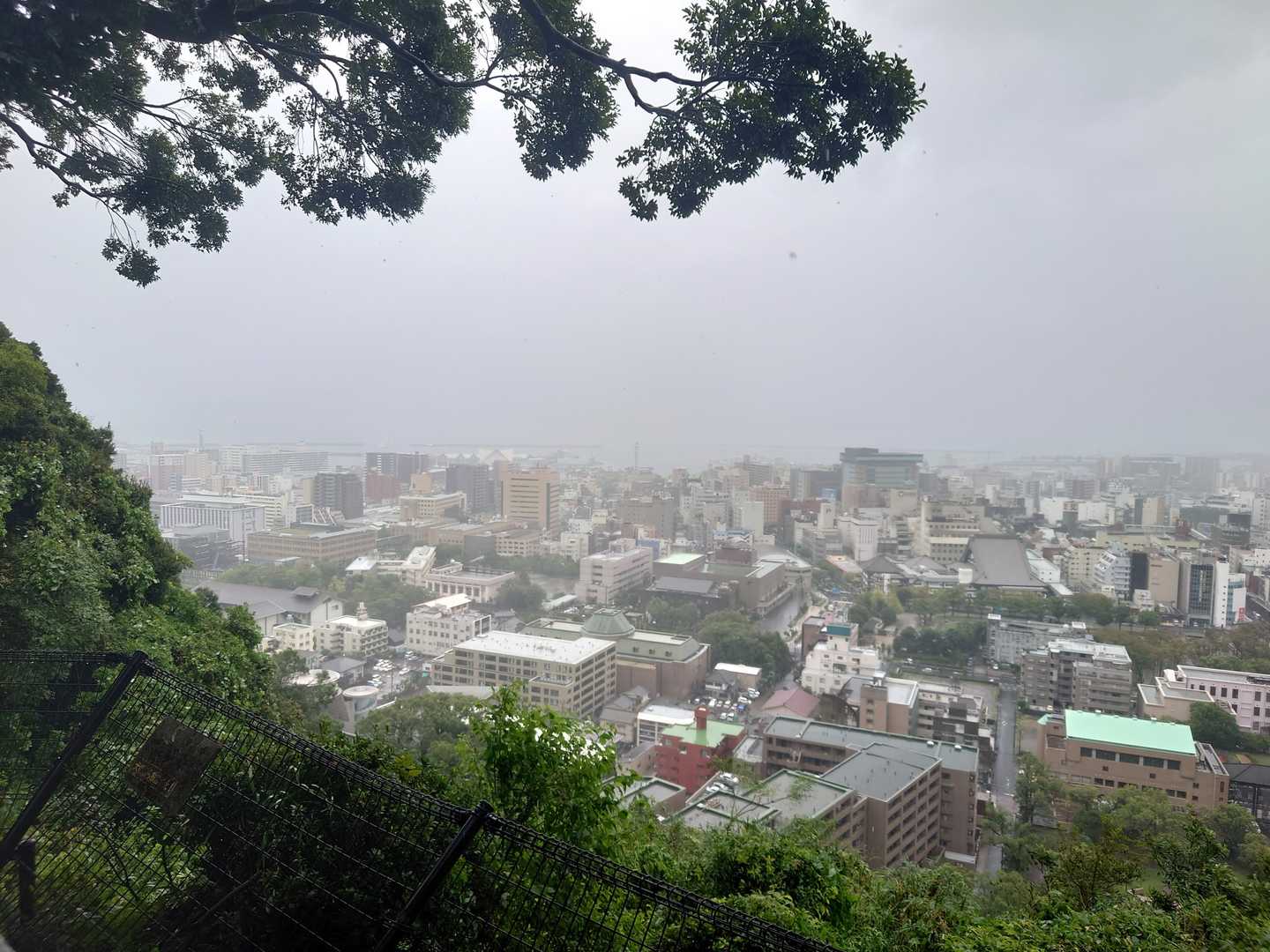 結局今回桜島は見えず。