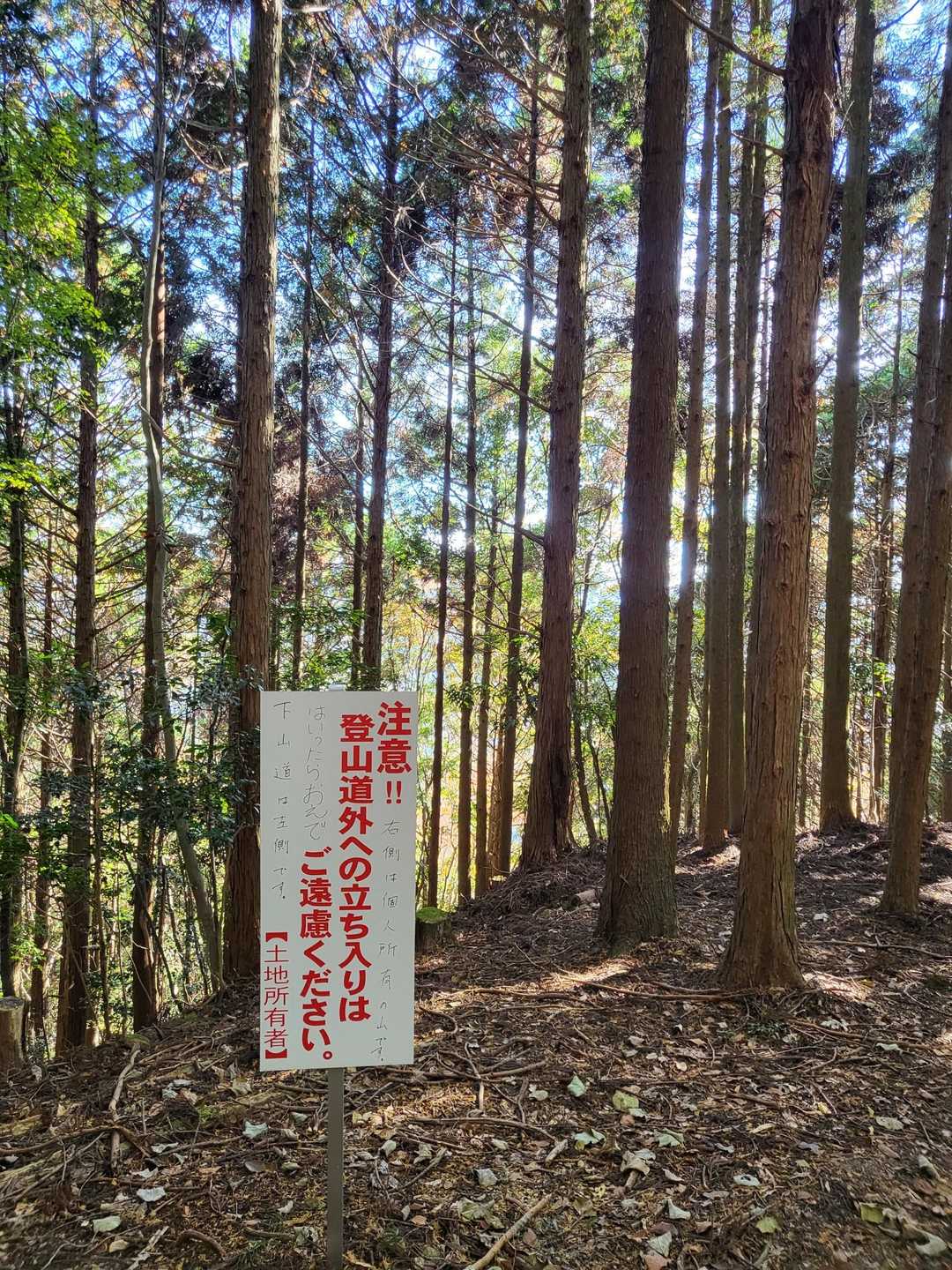 了解🙆