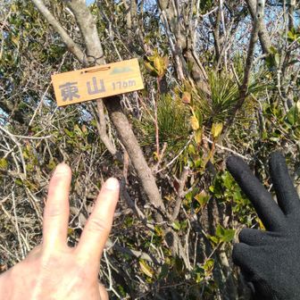 東山登頂。