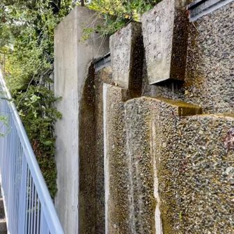 知らんのやけど多分コレがアクロスの滝❗️
厳冬期に条件が揃うと日本屈指の
大氷瀑が出来るらしい（多分🤣）