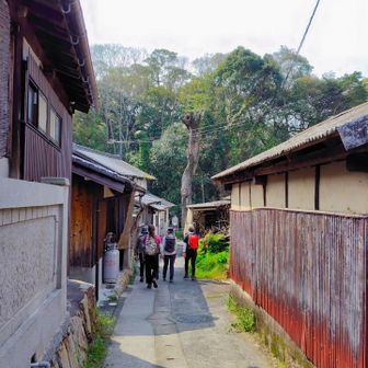 さてさて戻ろう