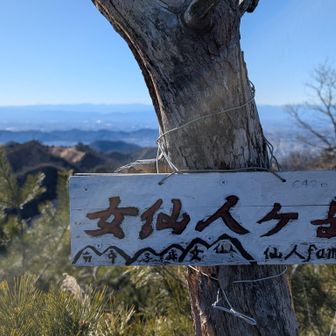 やはり見晴の良い✨女仙人は外せませんね😊