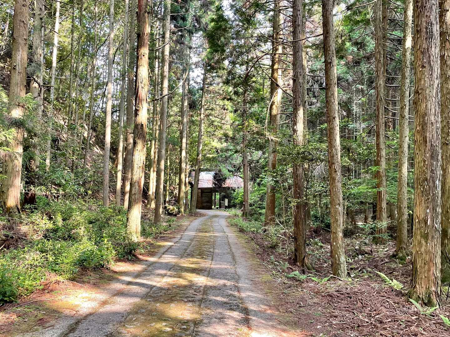 私達には充実の七種山ショートコースでした✨
槍まで登る日は果たして来るのだろうか…