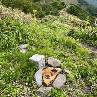 中ノ峯でようやく景色見れました✨