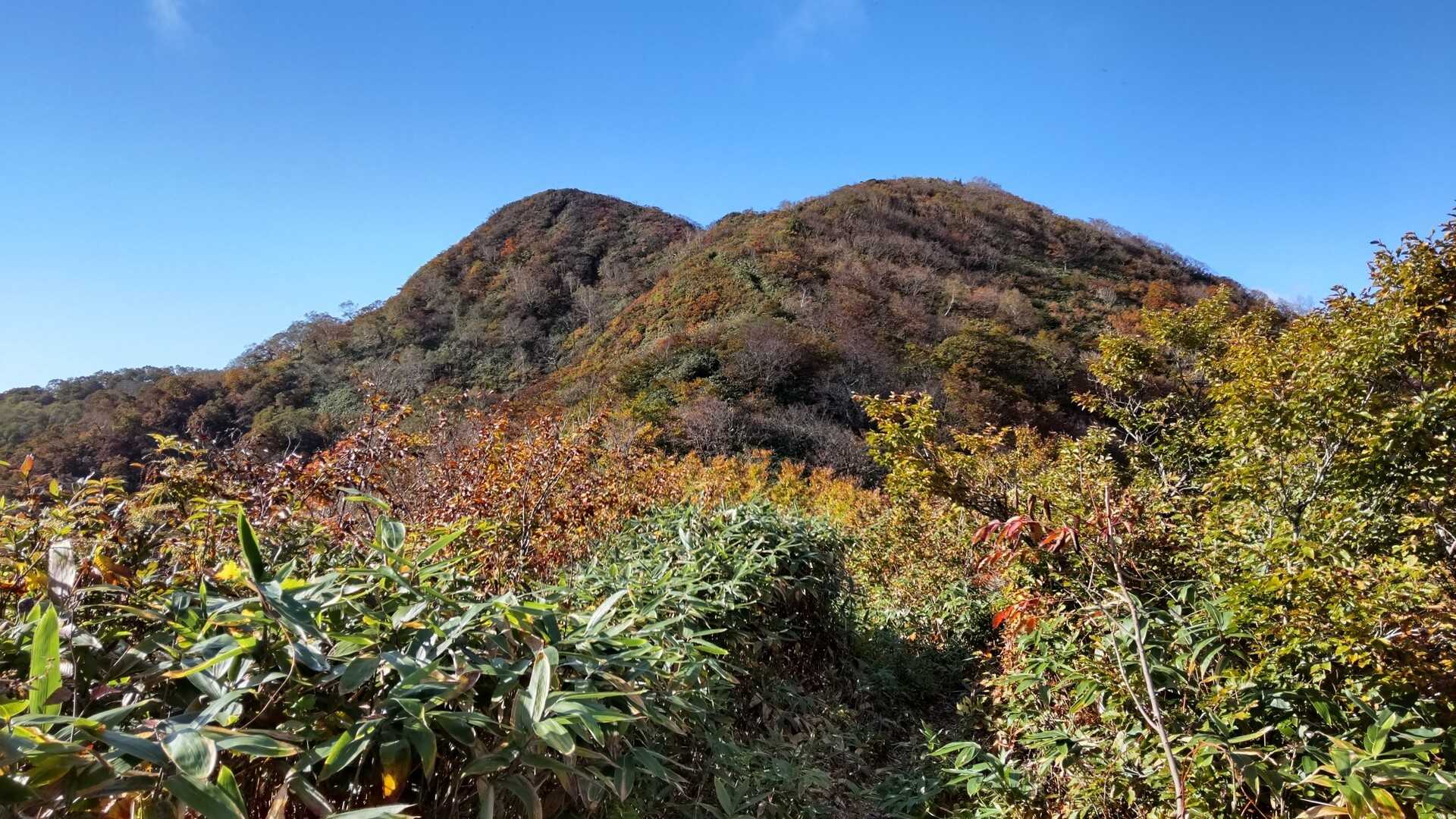 稲包山の写真