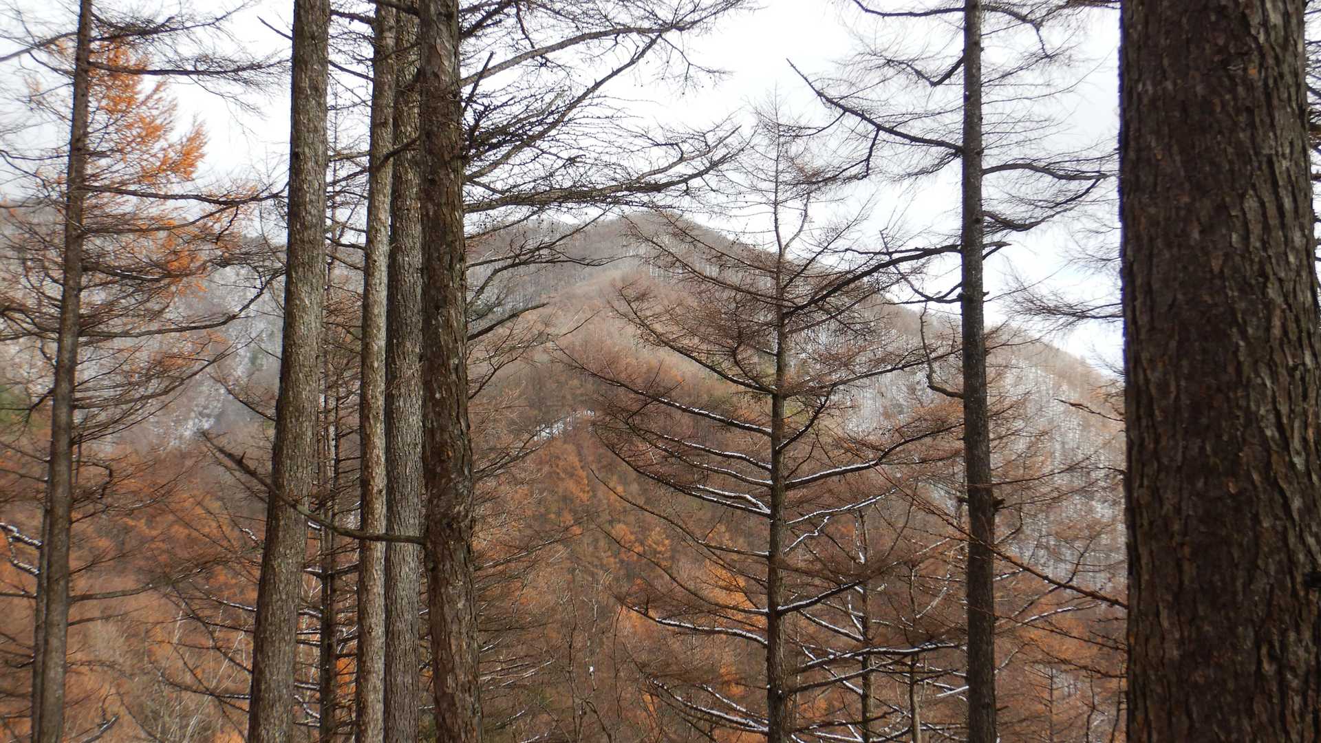 貴重な塩沢山全景です⛰️