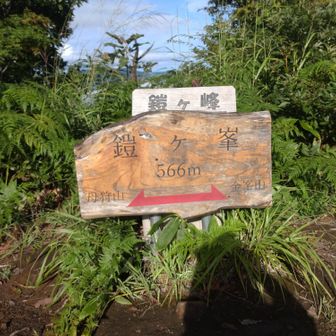 次に鎧々峰登頂！