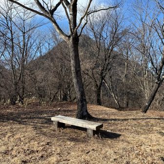 ベンチあり♡ココ❣️おススメです♡