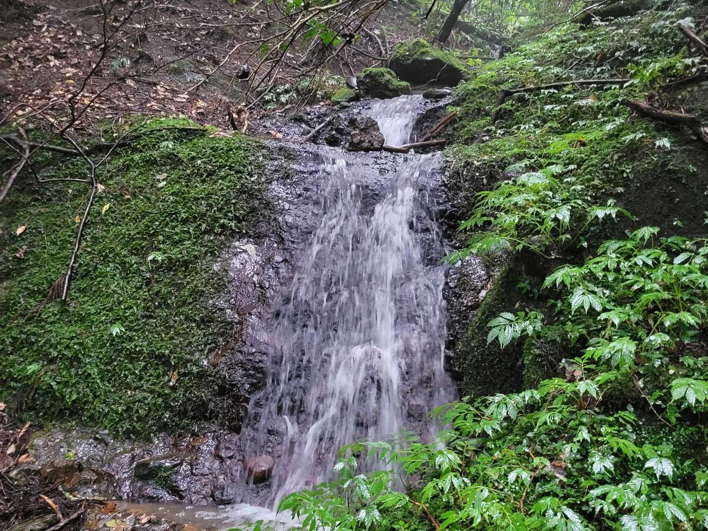 沢は水の勢いを増し…