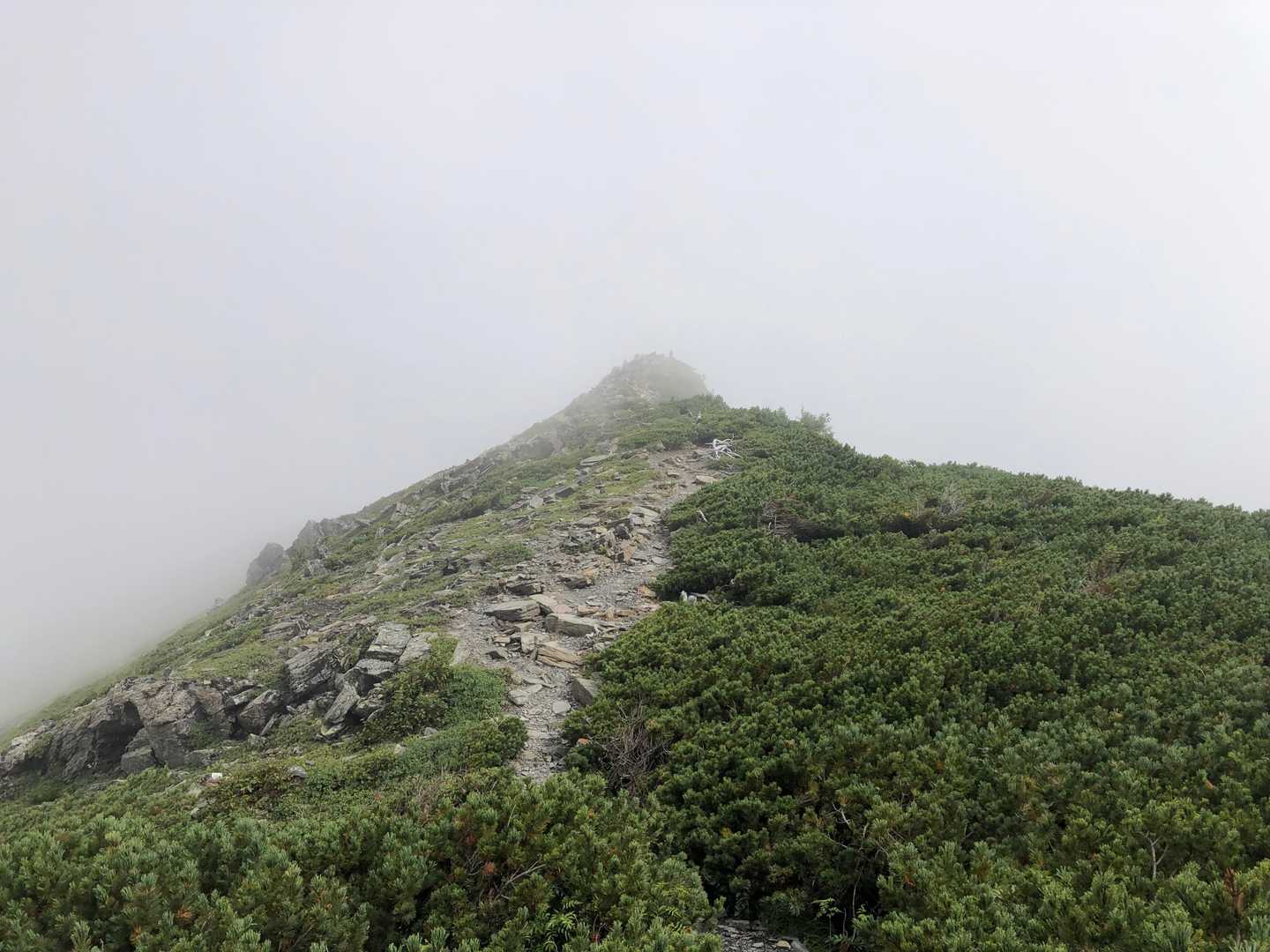登山道から望む蝶槍。