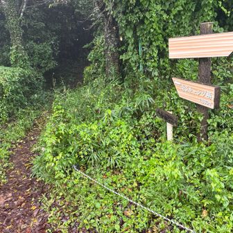 展望園地を後にして進みます。