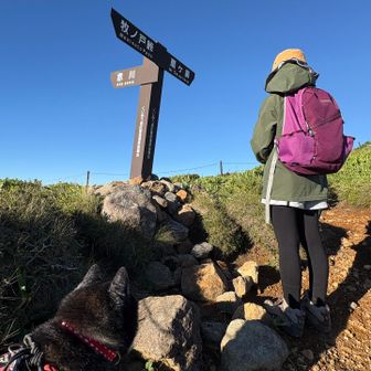 赤川登山口からのルートに合流すると