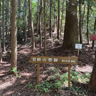 岩崎山砦