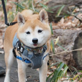 緊張のあまりよだれが。。。
