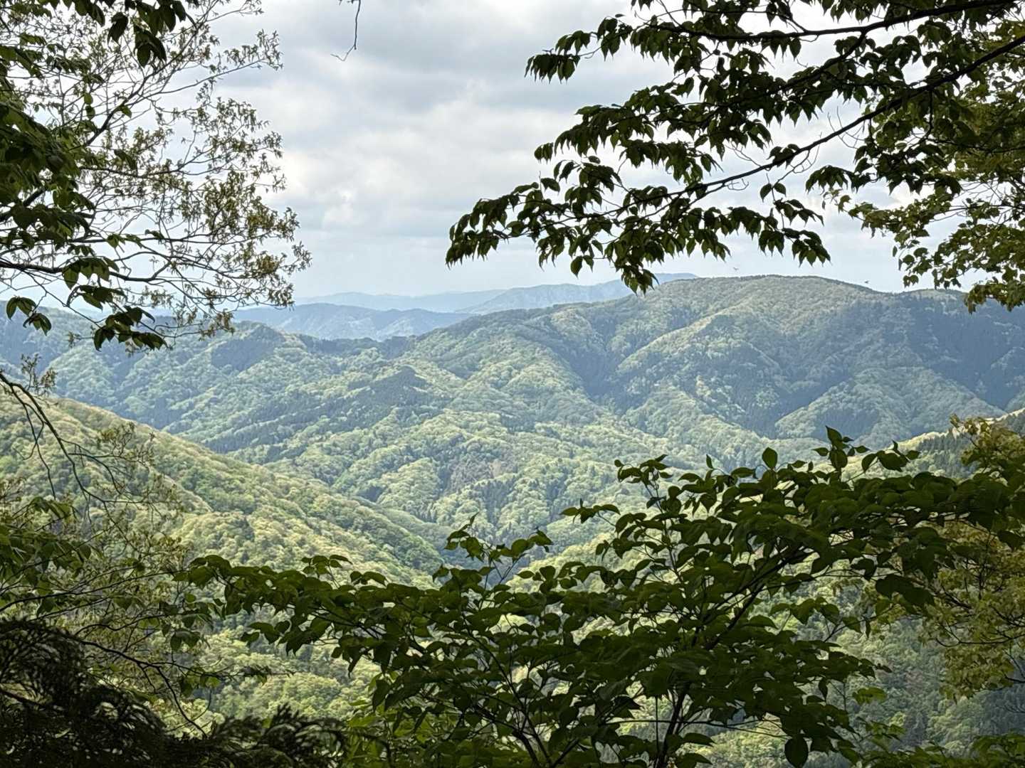 なんか山深い