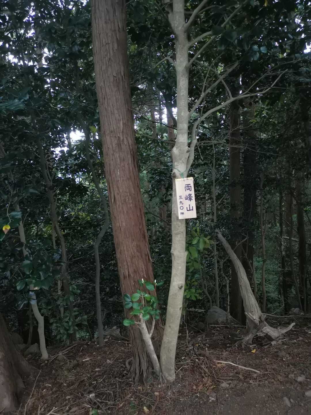 このピーク、前はなかったよ
両峰山...なんか偉そう🤣