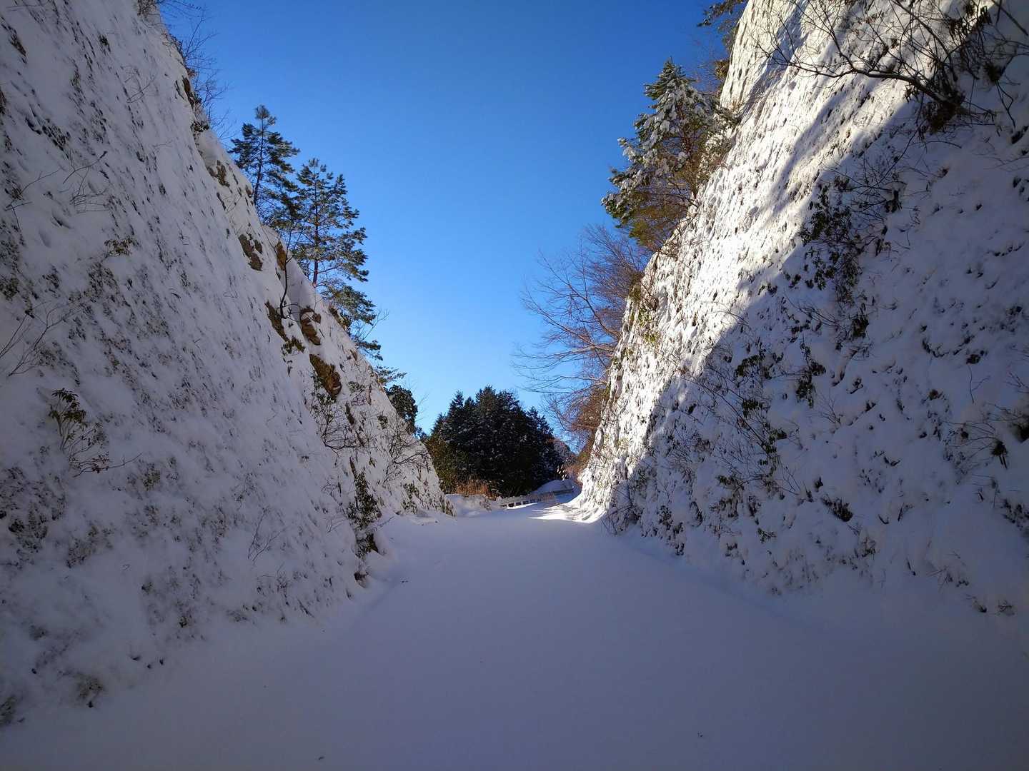 扇山登山口-扇山 往復コースの写真