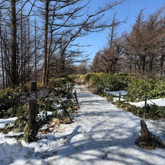 王ヶ鼻まで0.2km。道がドロドロ。