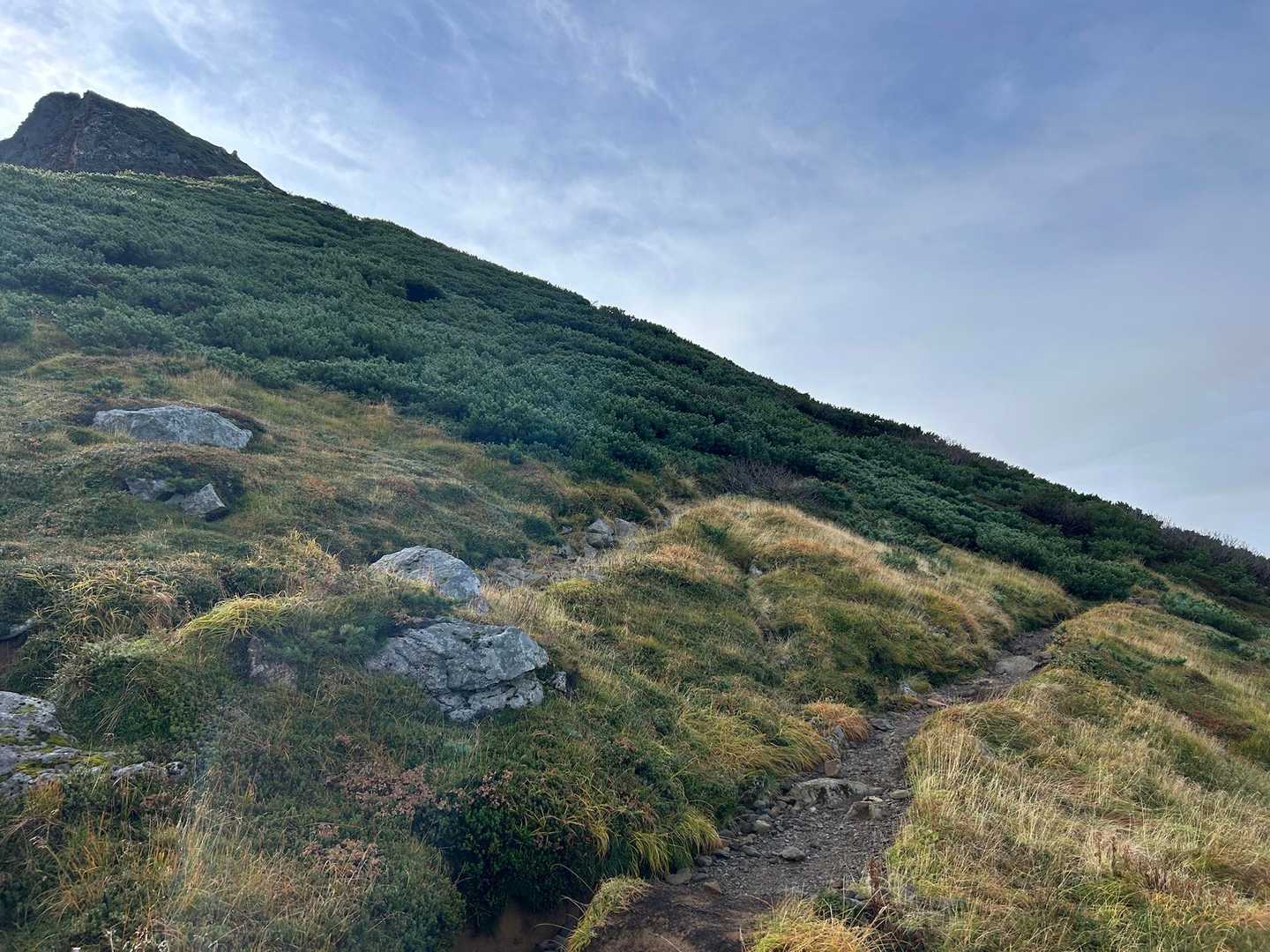 十勝岳温泉登山口-上ホロカメットク山 往復コースの写真