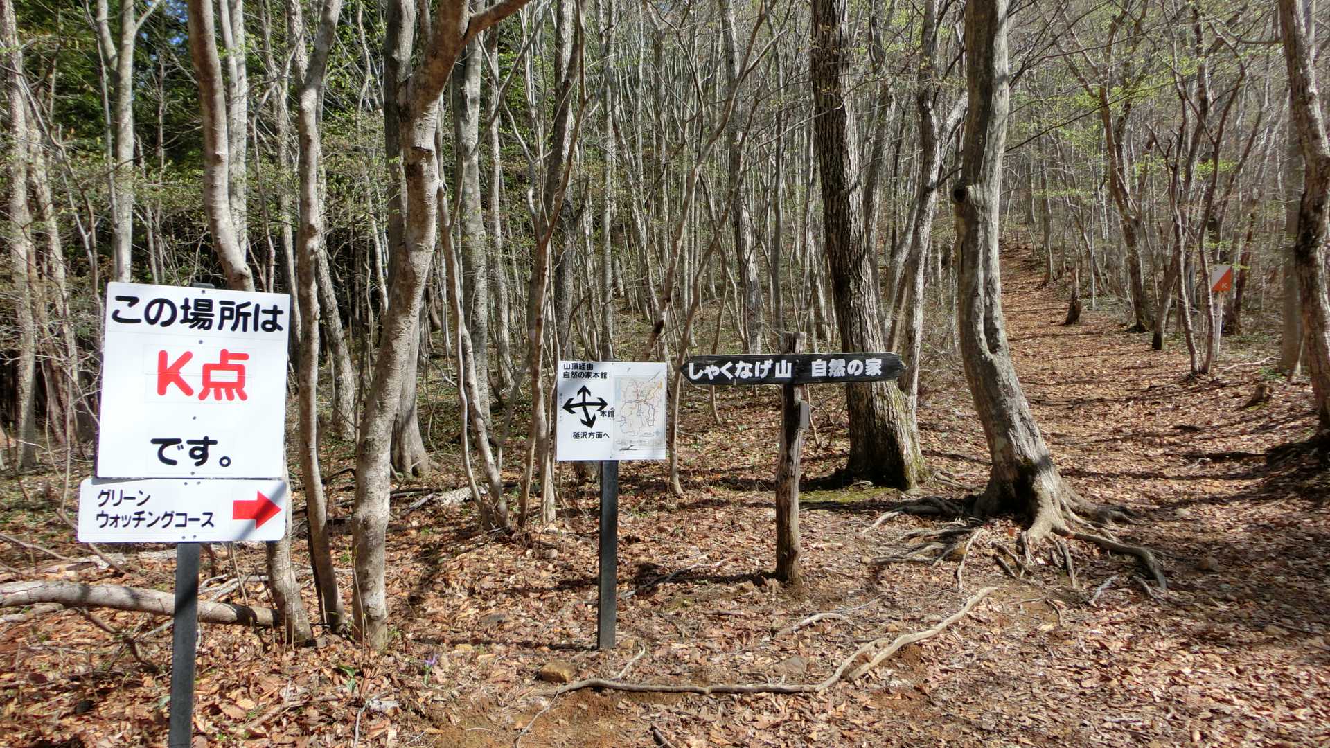折り返し地点に来ました