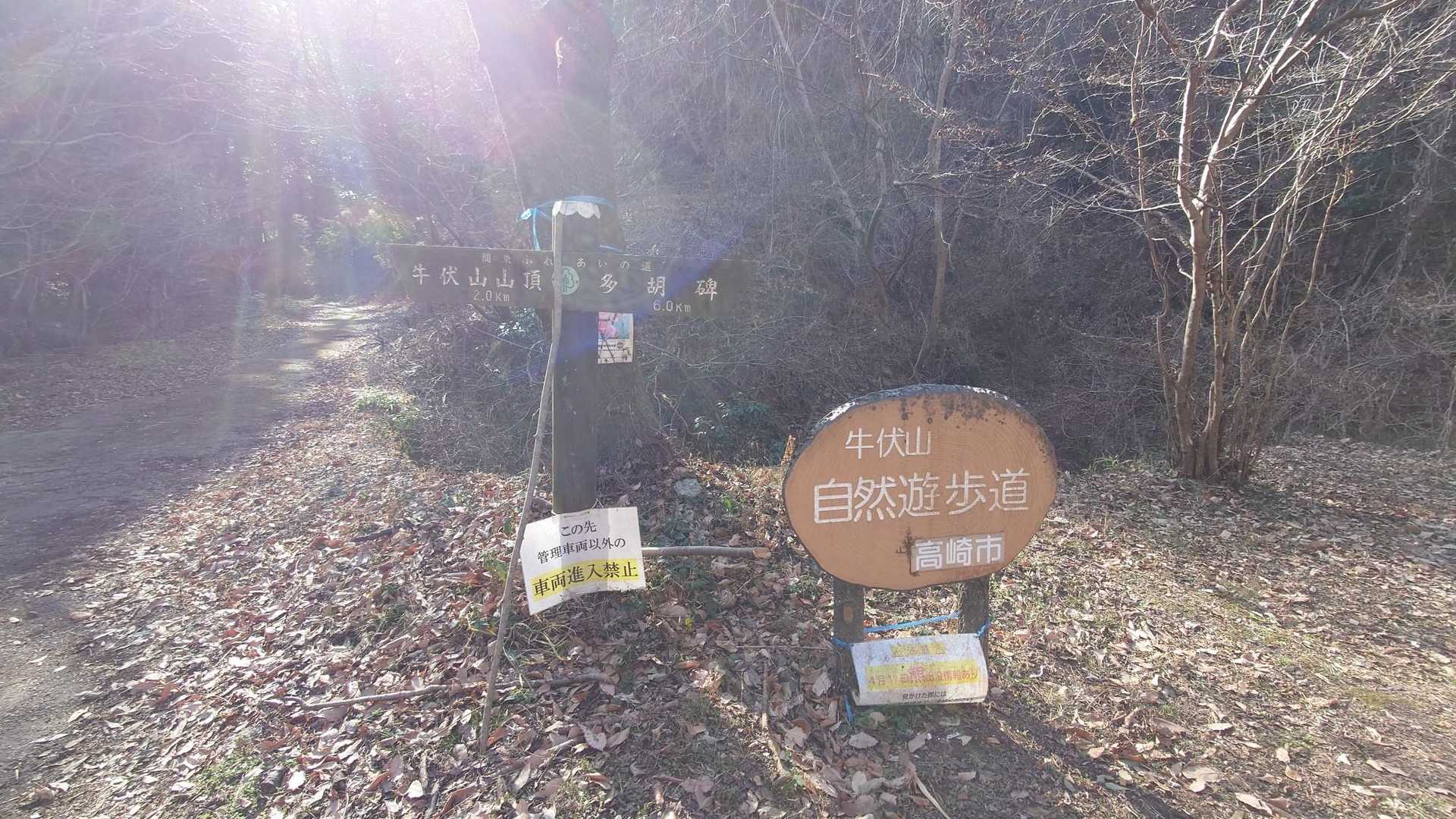 牛伏山 周回コースの写真