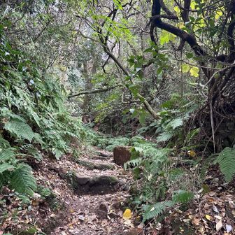 行きに通った法性寺に続く道。お寺の開門時間が18時までのようなので、余裕でゴール！
