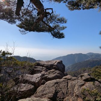 堡塁岩(秘境の地)に出てきた！！