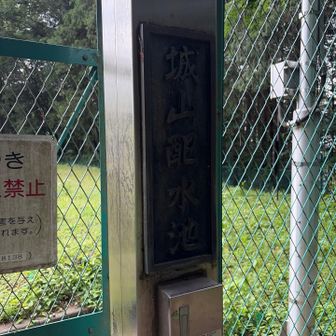 水道局の用地で中には入れないです。