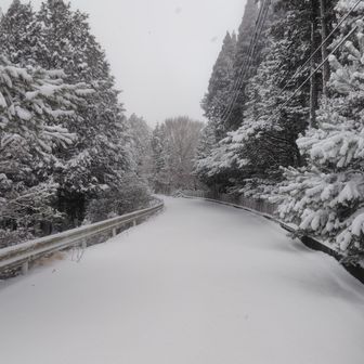 ノートレース🤤