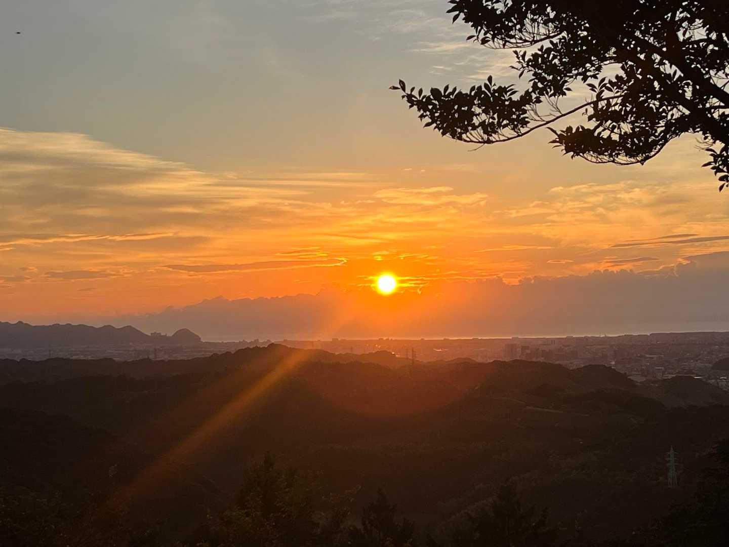 八幡山 往復コースの写真